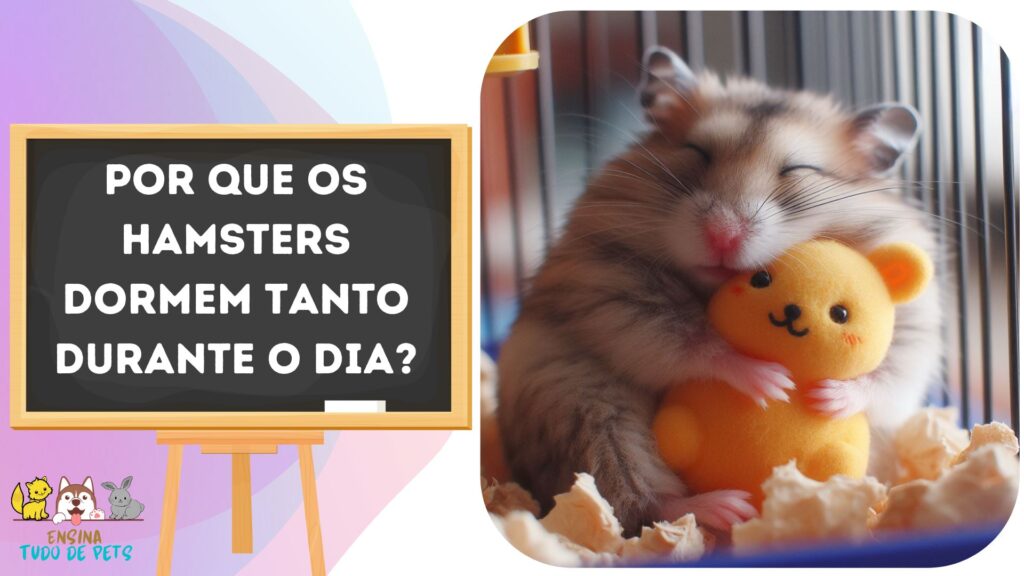 Arquivos Hamsters Ensina Tudo de Pets O seu manual de Informações